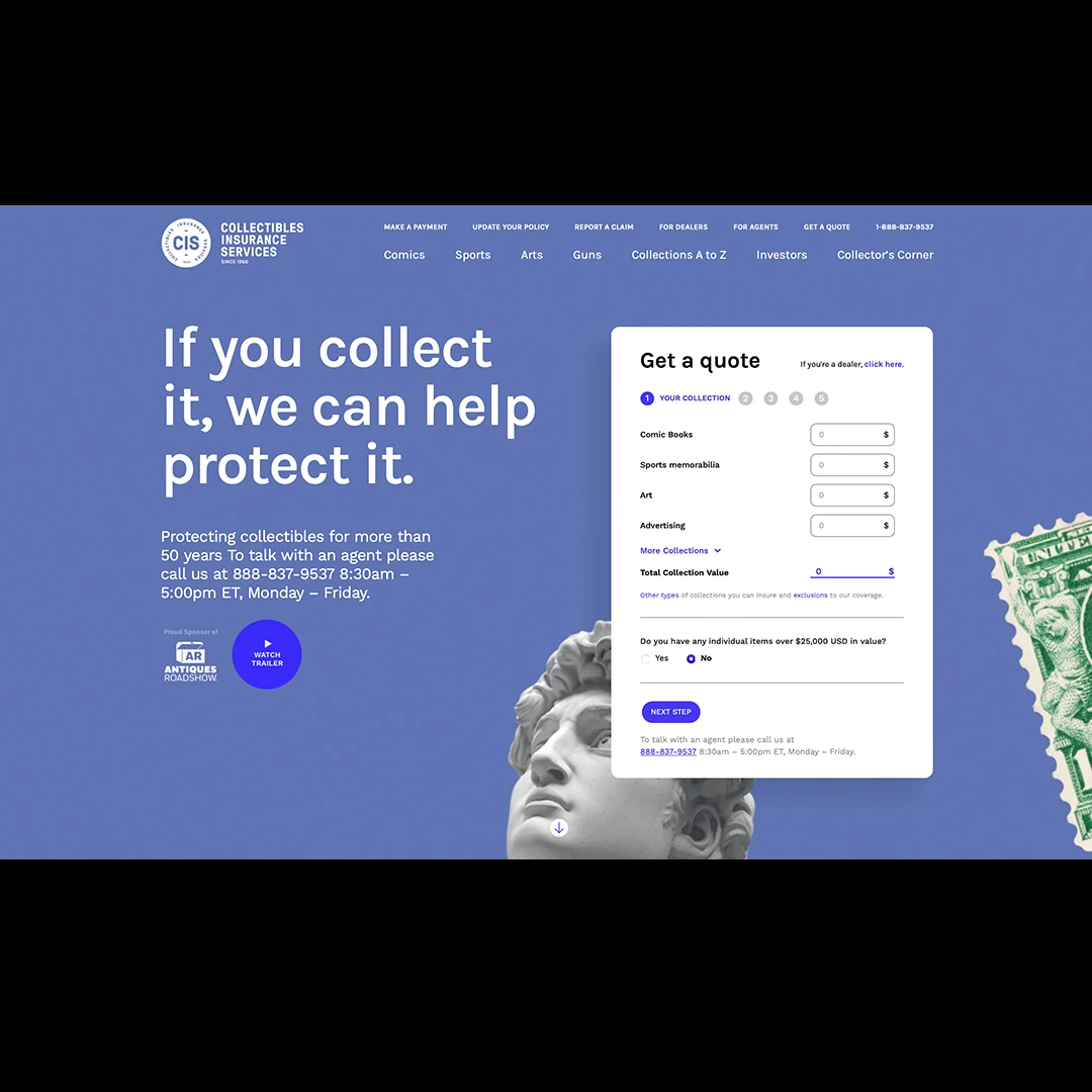 CIS Website Example 1